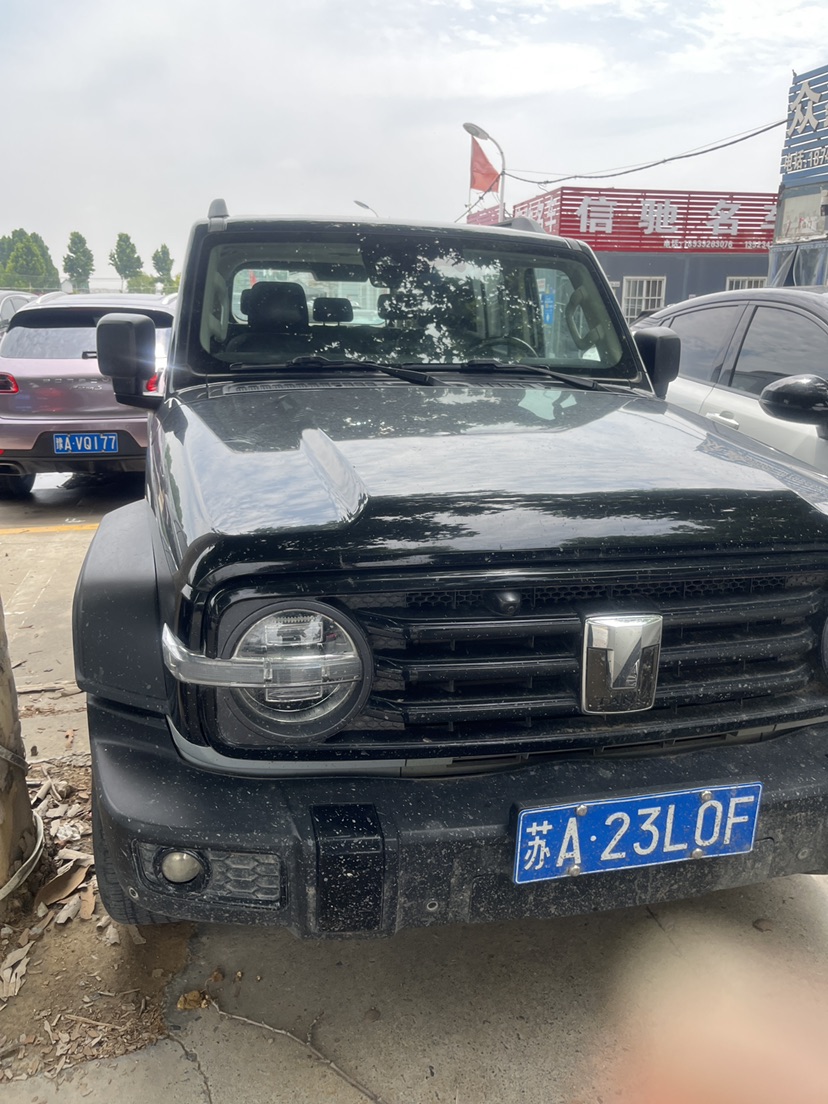 2023 TANK 300 2.0T