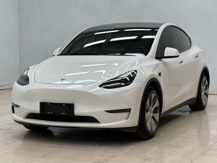2021 Tesla Model Y Standard Range Rear-Wheel Drive