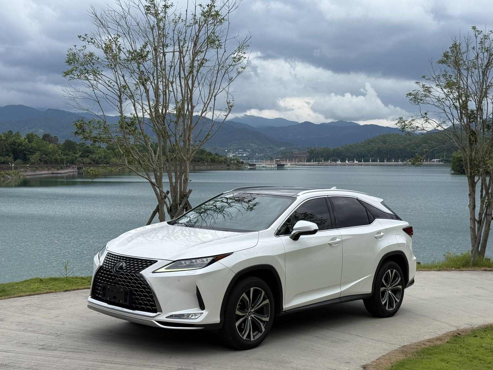 2020 Lexus RX 300 V