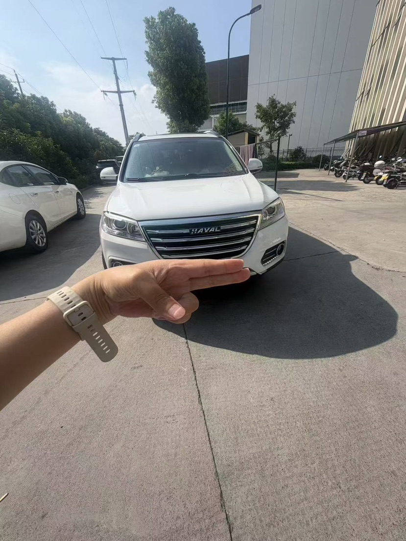 2019 Haval H6 1.5T AutomaticElite VI