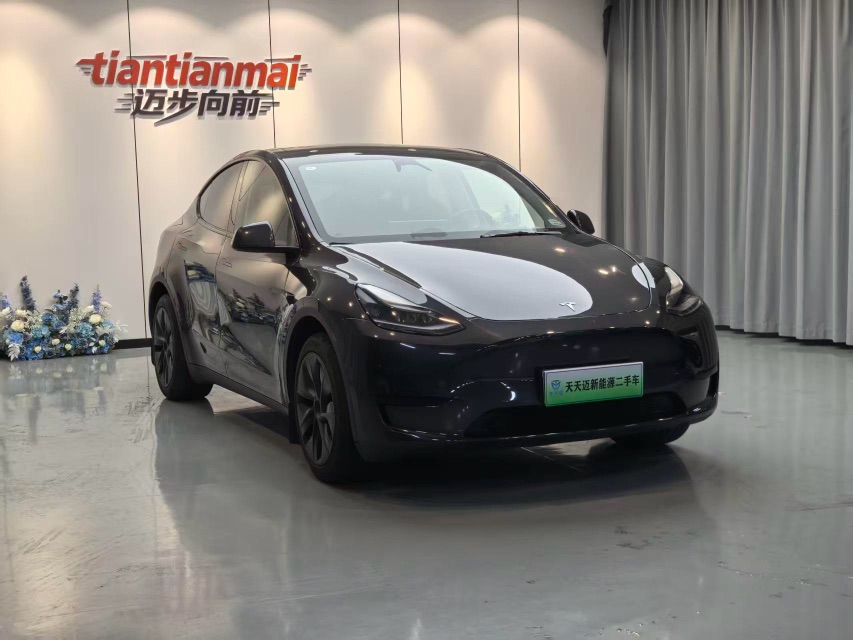 2024 Tesla Model Y Rear-Wheel Drive Version