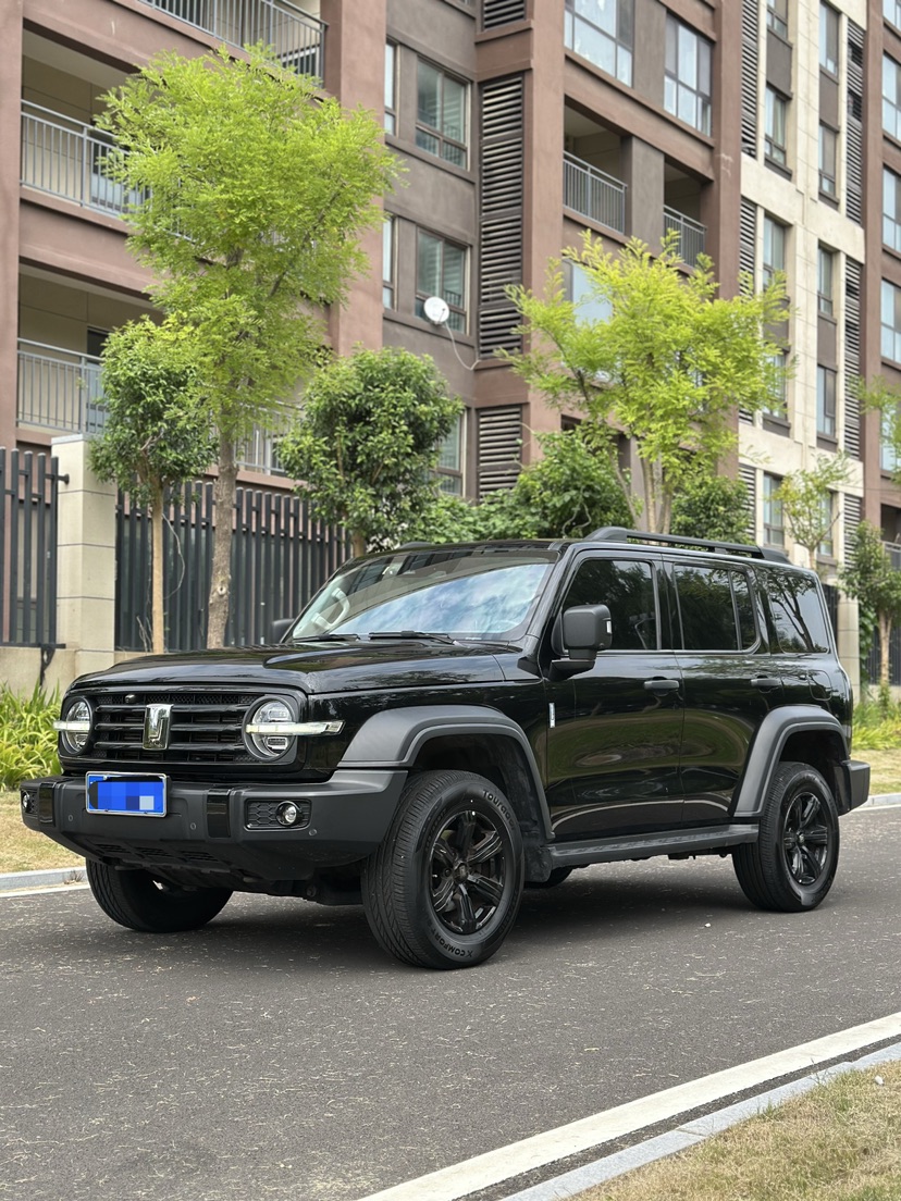 2021 Tank 300 2.0T