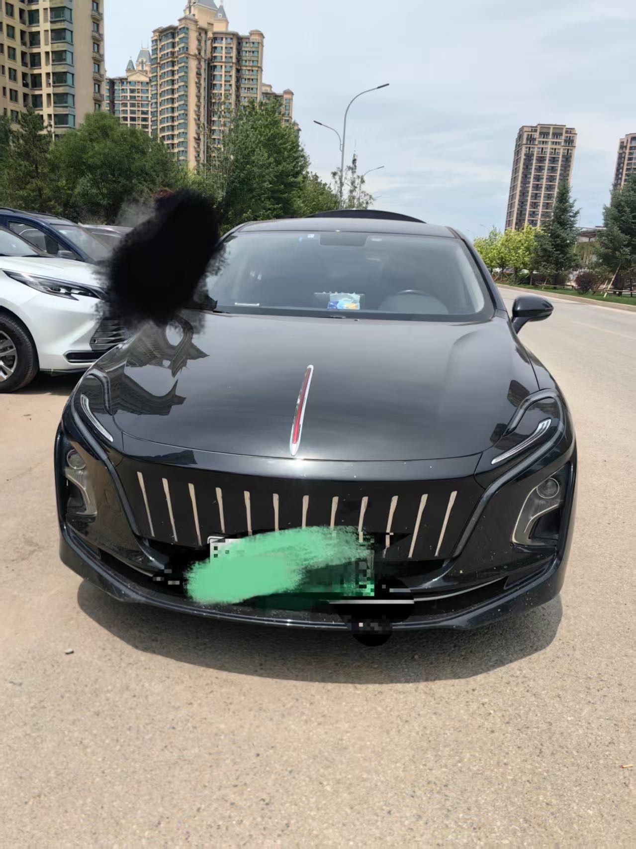 2023 Hongqi E-QM5