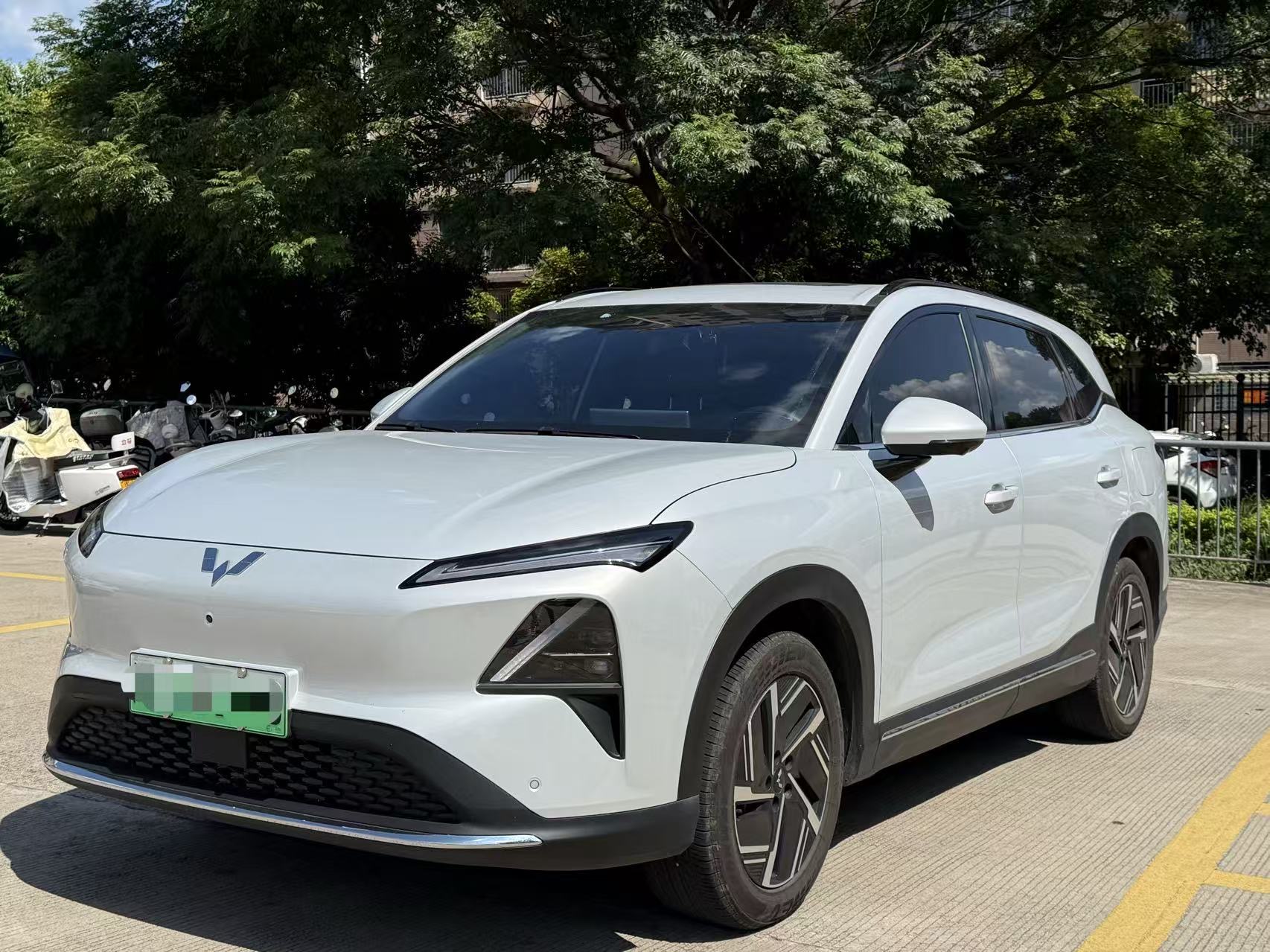 2024 Model 510km Flagship Edition
