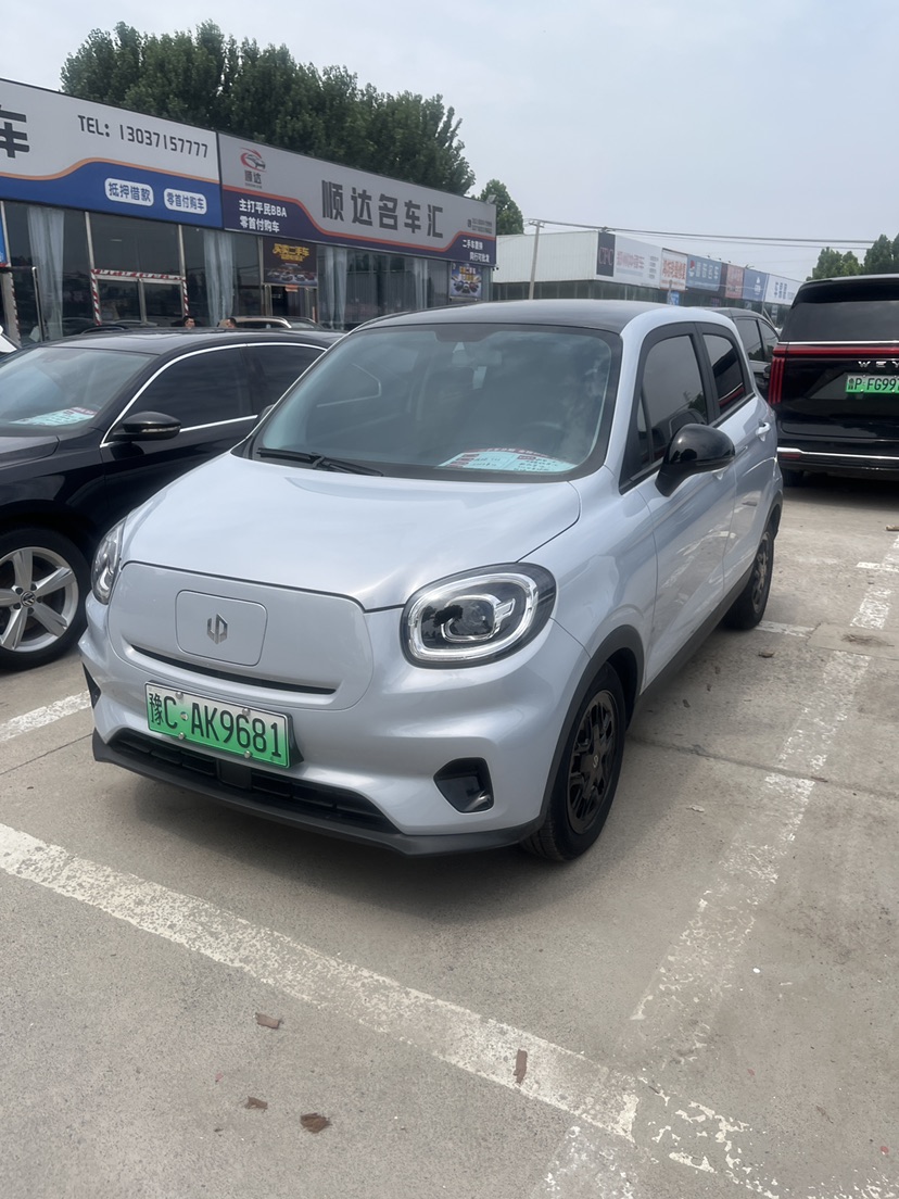 2023 Leapmotor T03 310