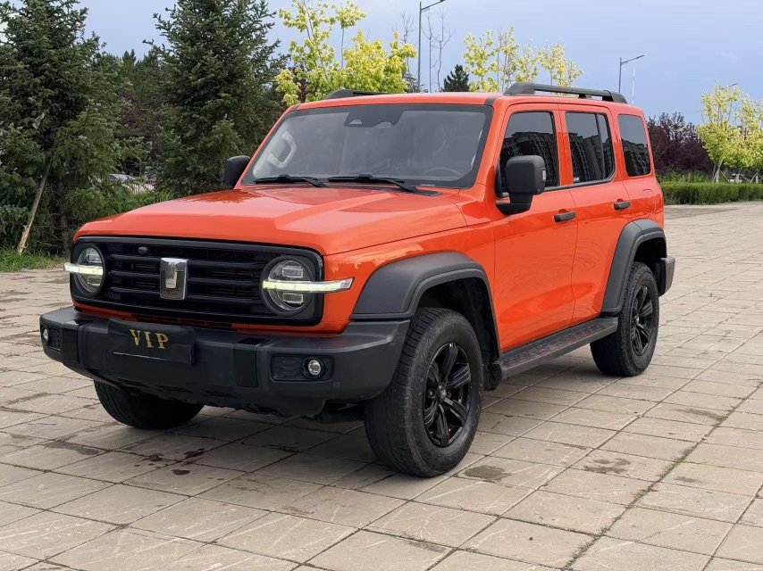 2023 TANK 300 2.0T