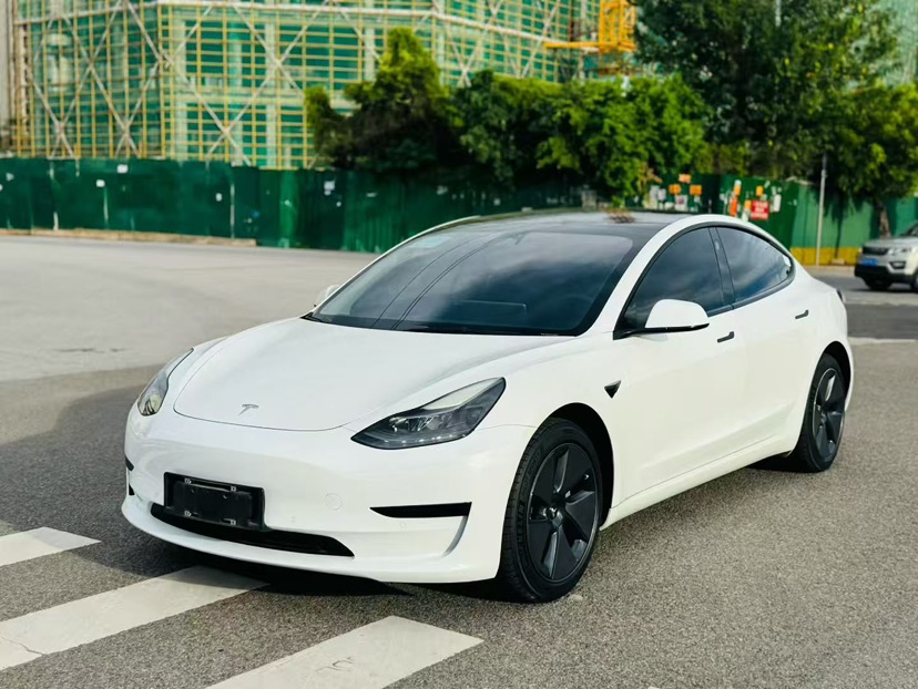 2022 Tesla Model 3 Rear-Wheel Drive Version