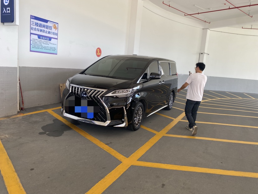 2020 Lexus LM 300h